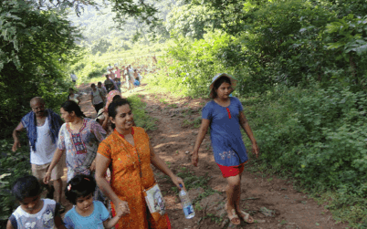 Forest Trekking